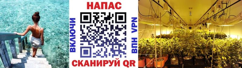 Магазин наркотиков Советск КЕТАМИН  kraken ONION  Конопля  АМФЕТАМИН  Гашиш 