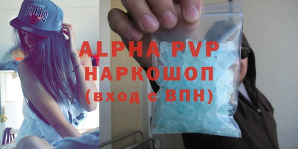 шишки Покачи