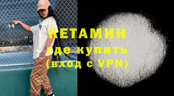 шишки Покачи