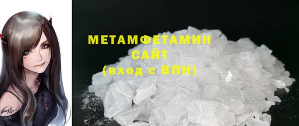 шишки Покачи