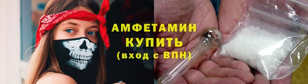 шишки Покачи