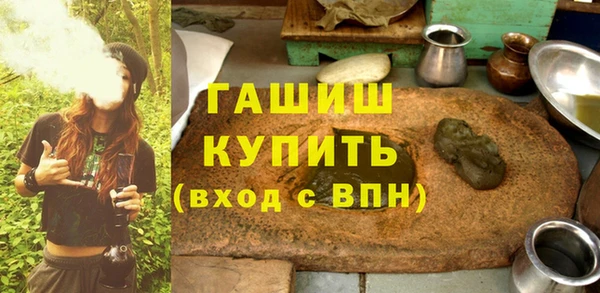 шишки Покачи
