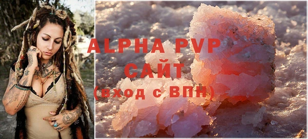 шишки Покачи