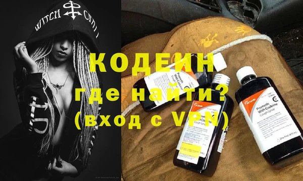 шишки Покачи