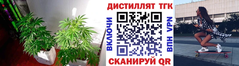 дарк нет клад  Советск  ТГК жижа  цены наркотик  OMG рабочий сайт 