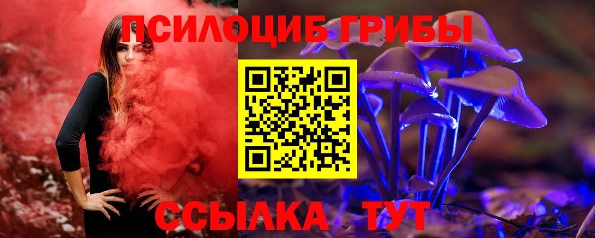 Псилоцибиновые грибы Psilocybe  Псилоцибиновые грибы ЛСД  Советск  Вход с VPN 